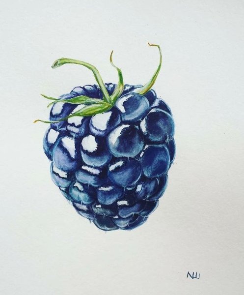 Ягоды акварелью
