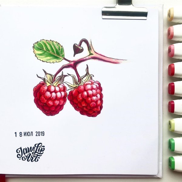 Скетчинг ягоды