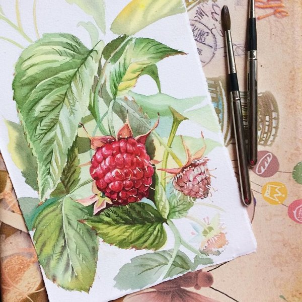 Ботанический скетчинг маркерами