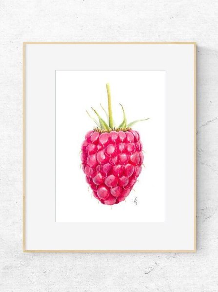 Малина гуашью