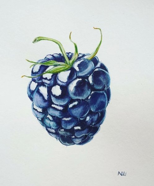 Клубника скетчинг акварель