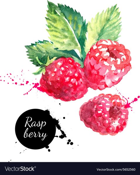 Малина стилизация