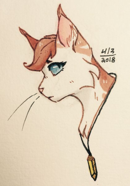 Котик скетч