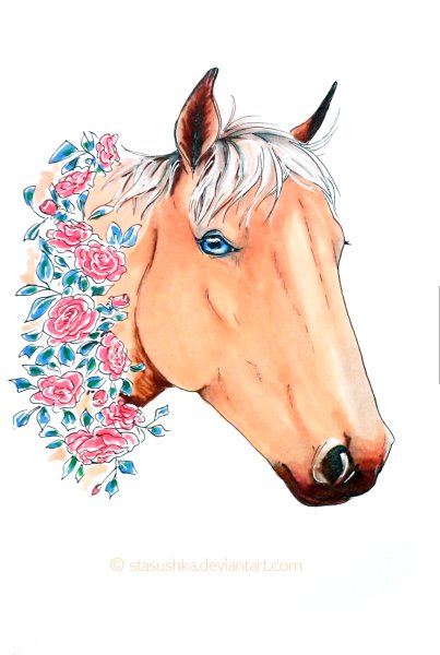 Рисунки лошадей фломастерами