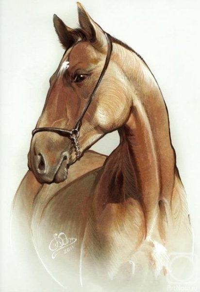 Скетчи акварелью лошади