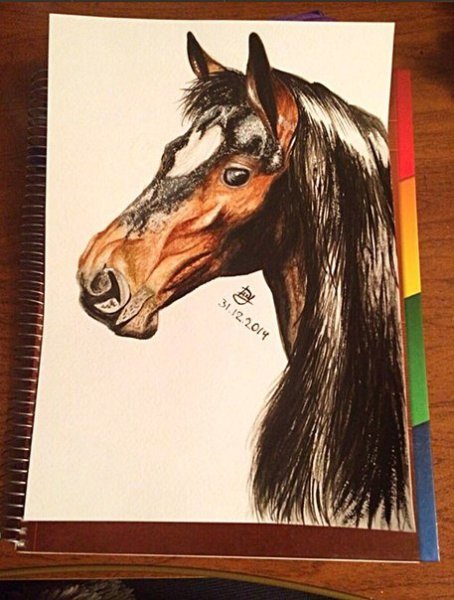 Картины Jonna Lamminaho