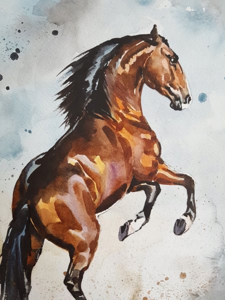 Художник Dino Tomic