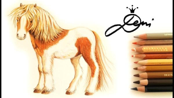 Лошадь фломастерами