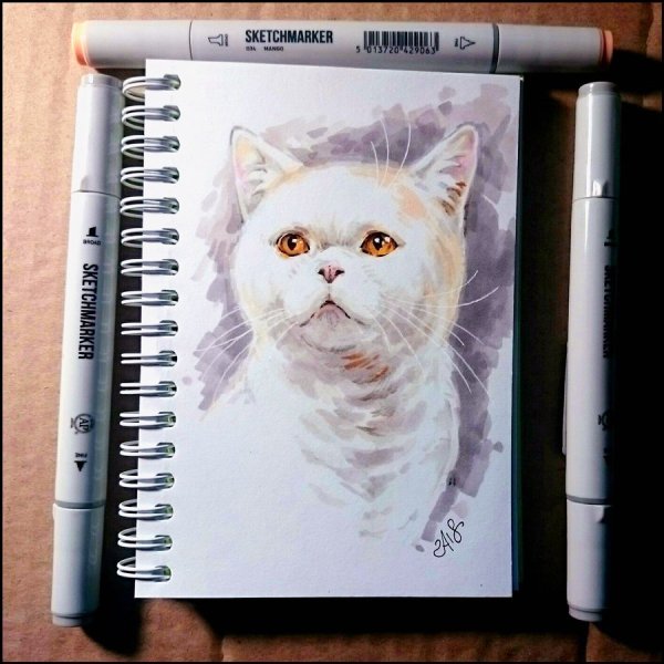 Кот рисунок маркерами
