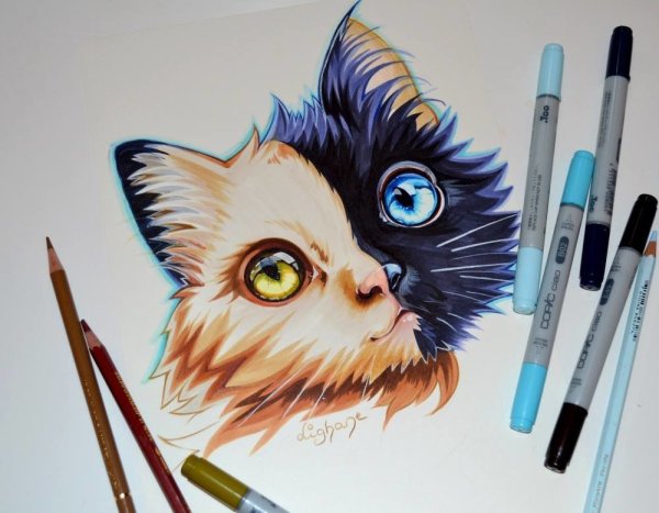 Маркеры для рисования