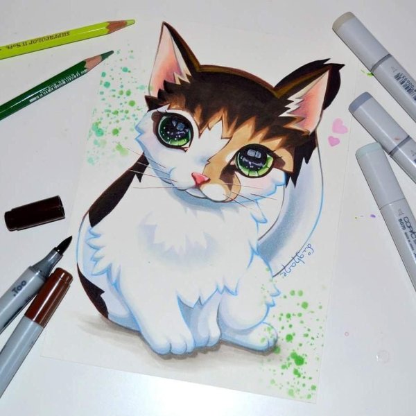 Кот рисунок маркерами