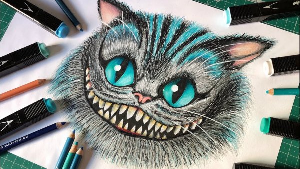 Котик рисунок карандашом цветной