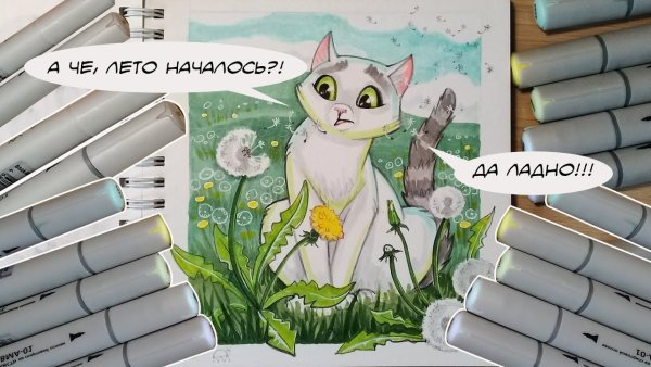 Котиркти для скейчбука