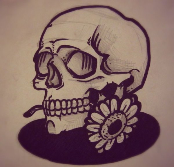 Череп маркером