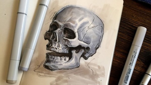 Череп маркером