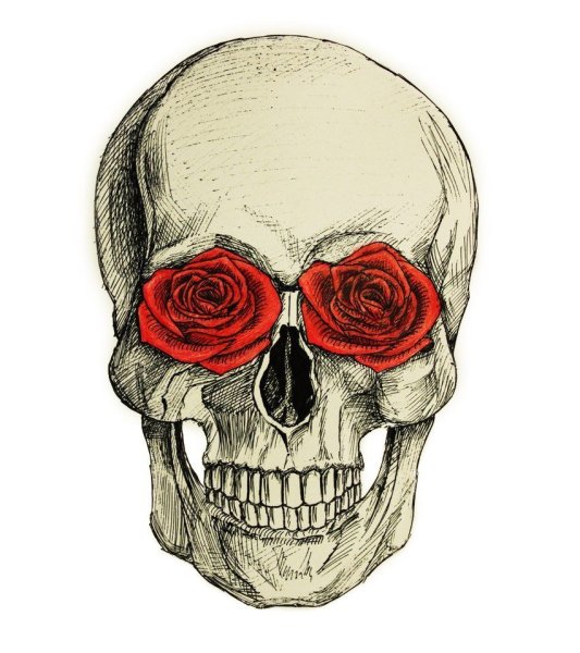 Череп маркером