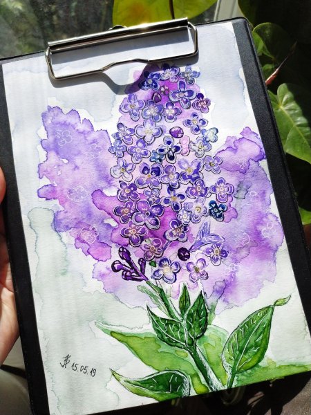 Рисунок сирени фломастерами