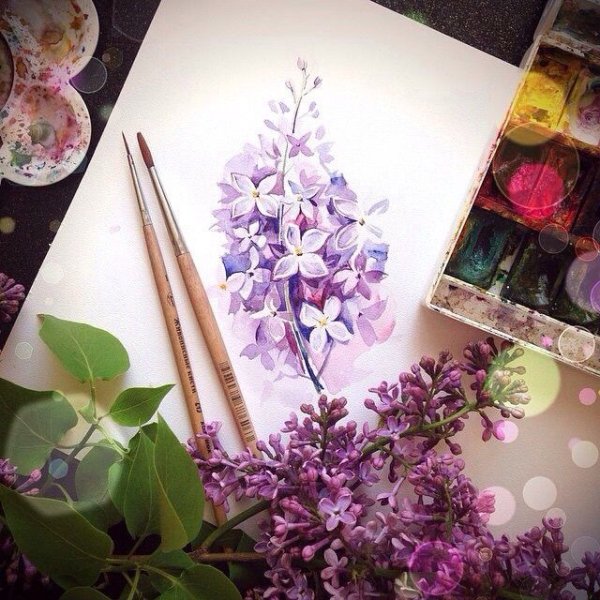 Скетчинг сирень