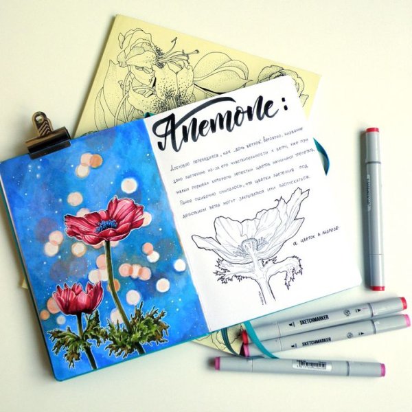 Сирень скетч маркерами