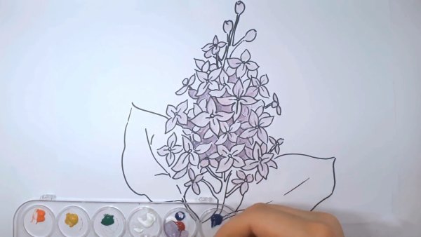 Сирень срисовка легко