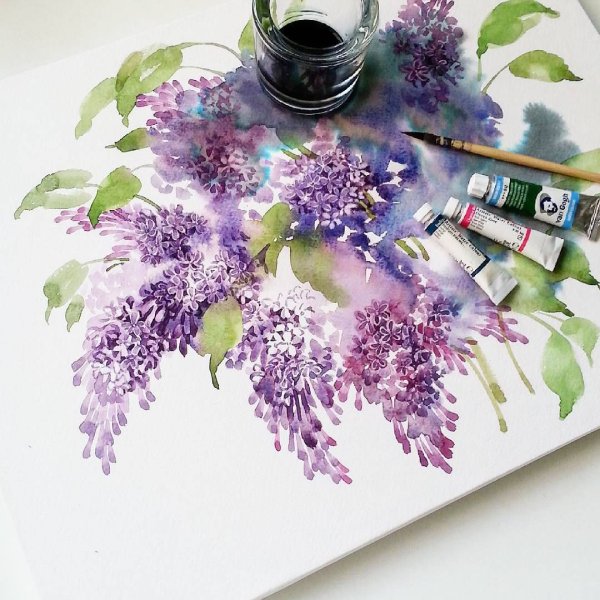 Скетчинг сирень