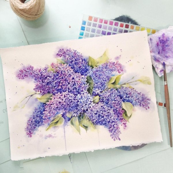 Скетчинг акварелью сирень