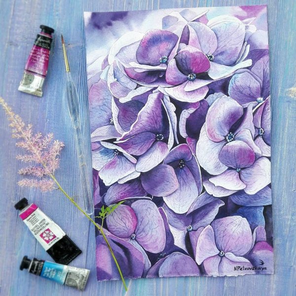 Скетчинг маркерами гортензия