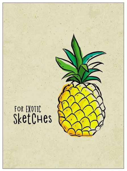 Скетчбук а5. Ананас