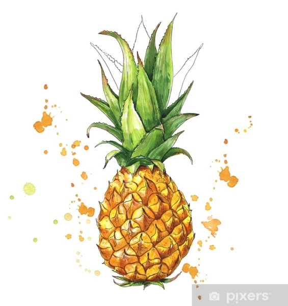 Скетчинг ананас маркерами