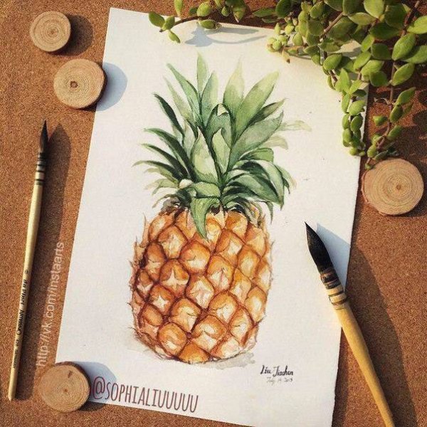 Ананас для скетчбука
