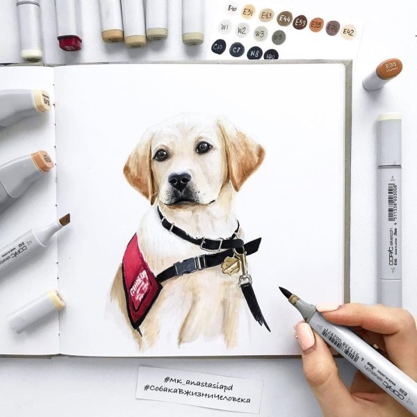 Милые скетчи маркерами