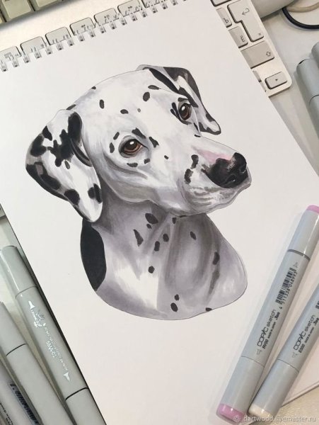 Животные маркерами