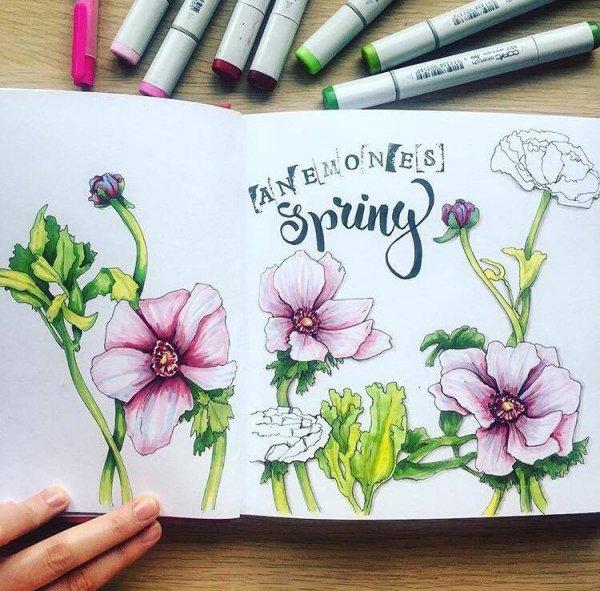 Еда маркерами Лиза Краснова