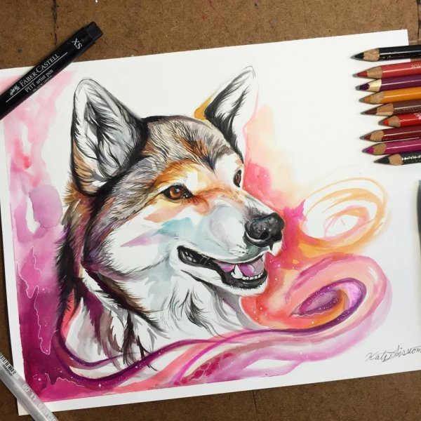 Волки Кэти Липскомб