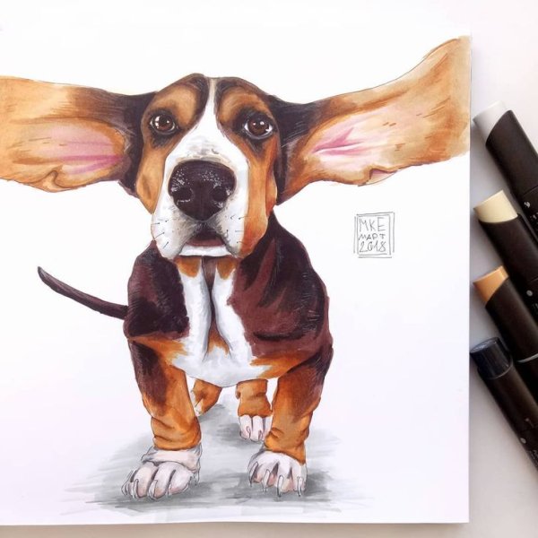 Скетчи маркерами животные