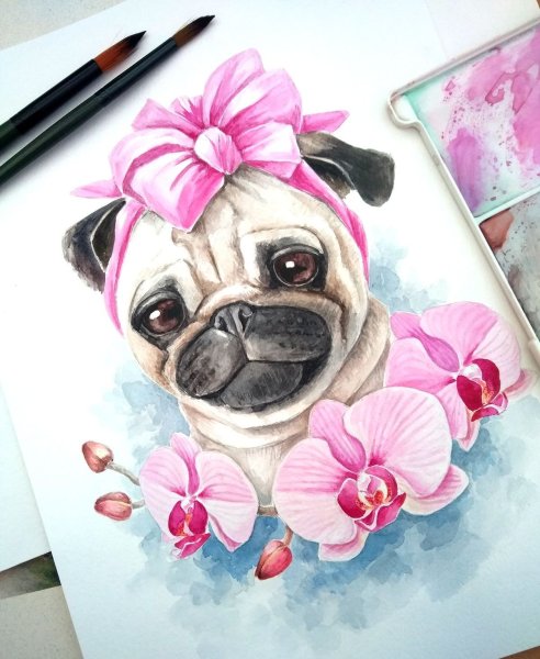 Скетчинг Мопс