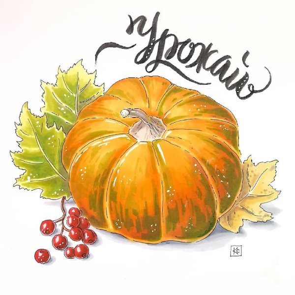 Тыква скетчинг