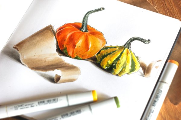 Тыква скетчинг