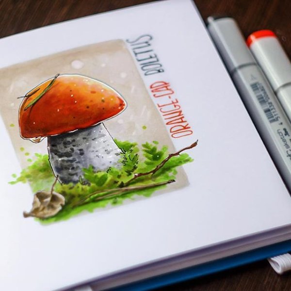 Мухомор скетч маркерами