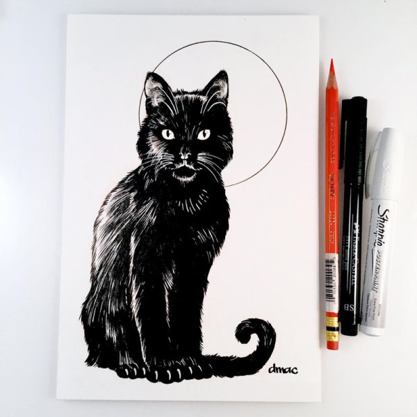 Кошка черным маркером