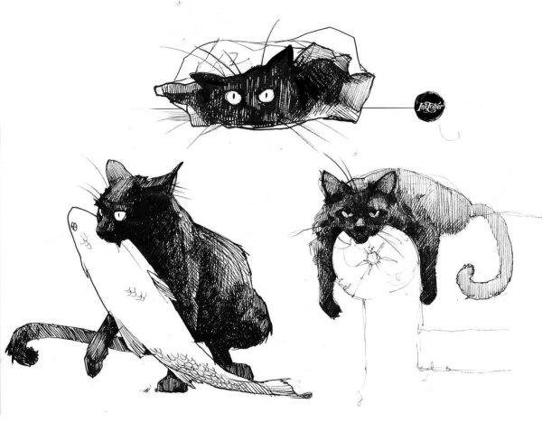 Черный кот рисунок карандашом