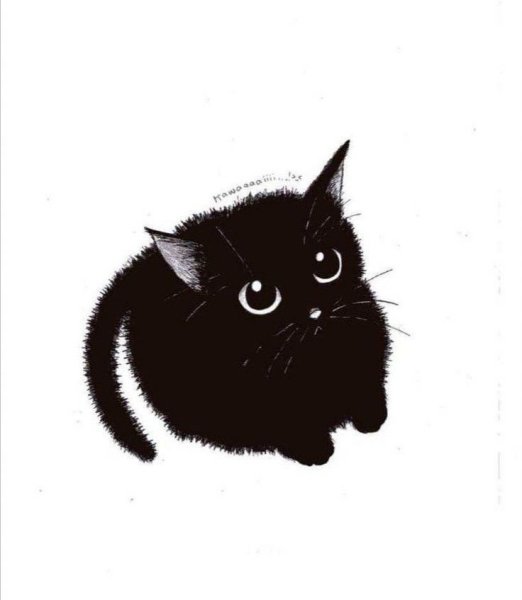 Рисунок черного кота для срисовки