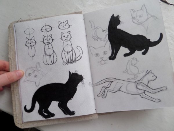 Котики для скетчбука