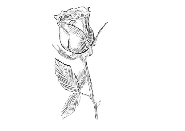 Скетчи для раскрашивания маркерами