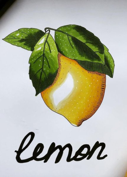 Фрукты скетч маркерами