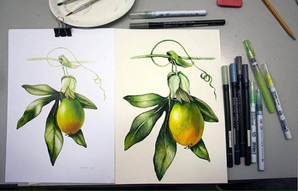 Фрукты акварельными маркерами