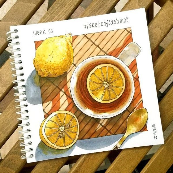 Скетчбук. Лимон
