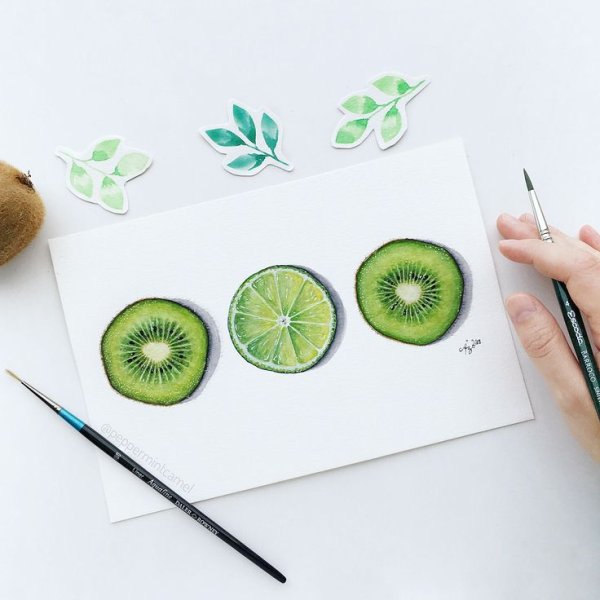 Фрукты для скетчинга