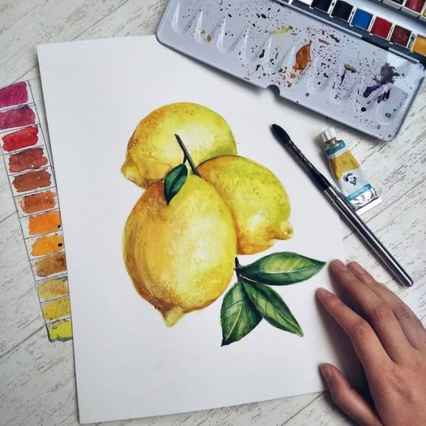 Фрукты акварелью для скетчбука