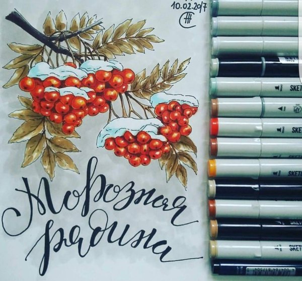 Рябина маркерами